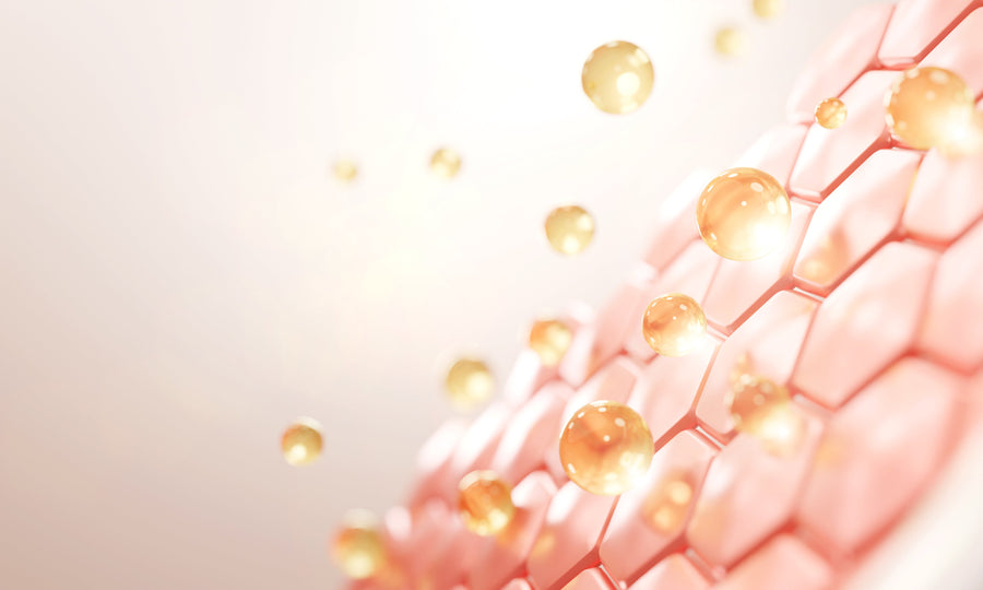 Architektur der Schönheit: Wie Deine Haut wirklich funktioniert